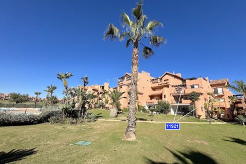 From Grass And Pool