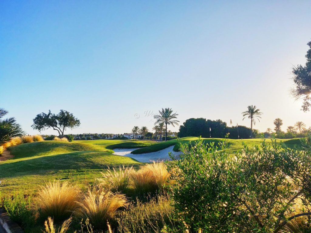  Chipping Green